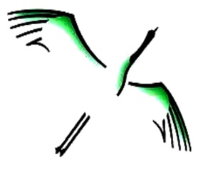 Logo Kinderopvang Kranenborg, gastouder Marum, gastouderbureau inZicht